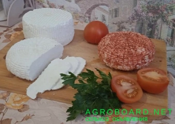 Адыгейский домашний сыр