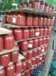Продам томатный сок