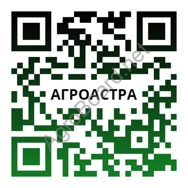 Продажа семян озимого ячменя Виват, Ерема, Маруся, Тимофей, Фокс 1